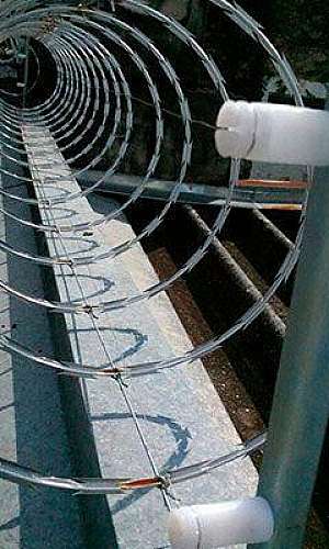 concertina eletrificada concertina eletrificada