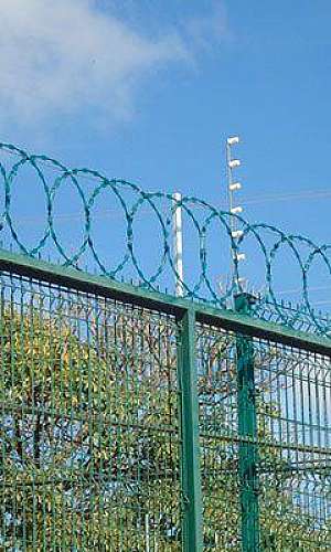 concertina flat eletrificada concertina flat eletrificada